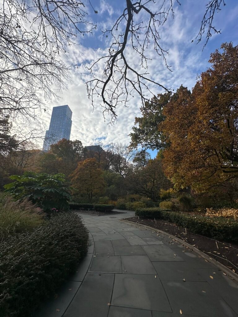Fall Colors in Central Park